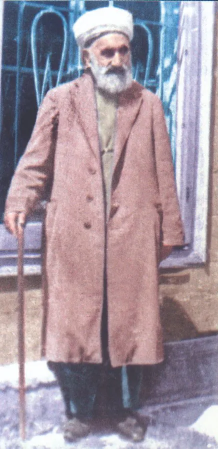 Seyyid Abdulhakim Arvasi